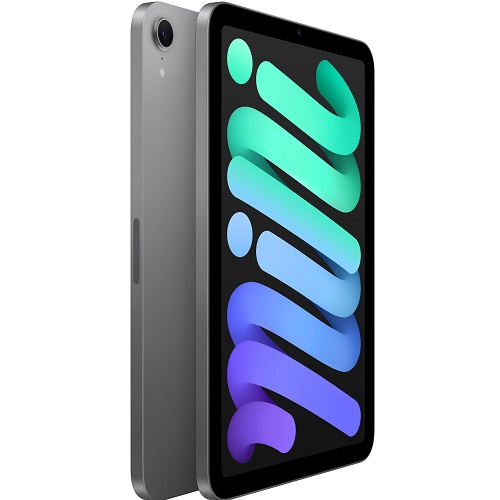 Apple iPad mini (2024) 256 Go Wi-Fi Gris Sidéral – Image 2